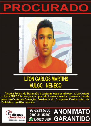 ILTON CARLOS MARTINS