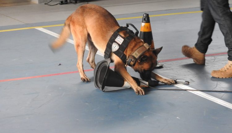 WhatsApp Image 2019-03-20 at 10.49.03 (1)