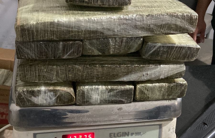 55405_whatsapp_image_2025_10_29_at_16.37.03_4772551651596033142_