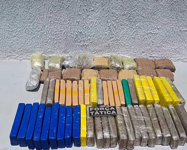 55405_whatsapp_image_2025_10_29_at_16.37.20_7495289736617821976_