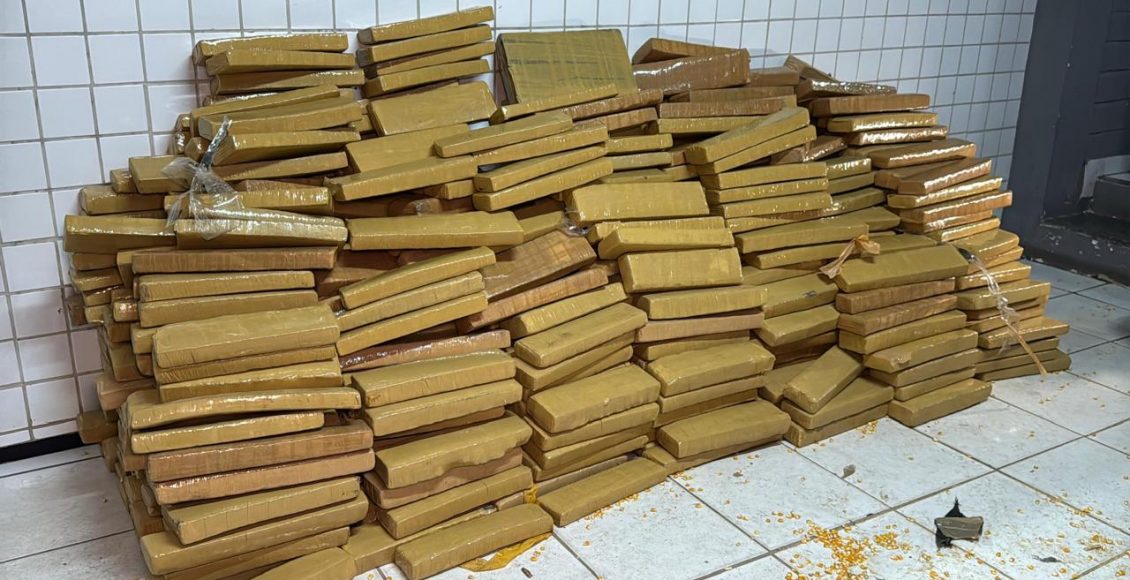 55405_whatsapp_image_2025_10_29_at_16.39.07_117674315249604556_