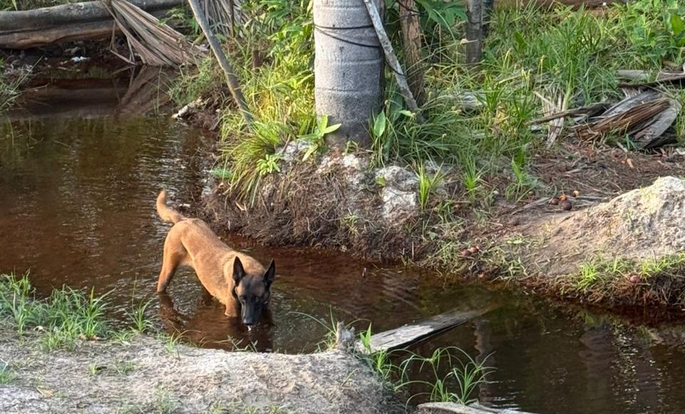 WhatsApp Image 2025-11-06 at 16.24.05 (1)